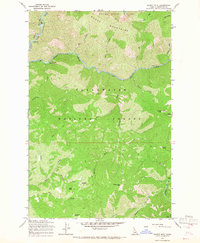 Download a high-resolution, GPS-compatible USGS topo map for Scurvy Mtn, ID (1967 edition)