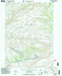 Download a high-resolution, GPS-compatible USGS topo map for Severe Spring, ID (2006 edition)
