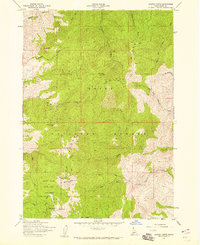 preview thumbnail of historical topo map of Boise County, ID in 1957