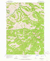 Download a high-resolution, GPS-compatible USGS topo map for Sheep Creek, ID (1966 edition)