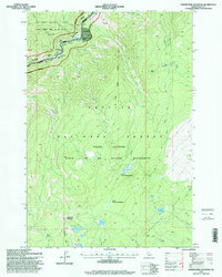 Download a high-resolution, GPS-compatible USGS topo map for Sheepeater Mountain, ID (1999 edition)