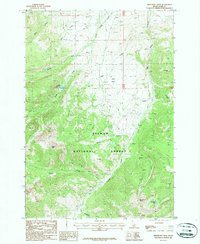 Download a high-resolution, GPS-compatible USGS topo map for Sheephorn Peak, ID (1987 edition)
