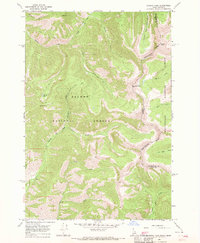 Download a high-resolution, GPS-compatible USGS topo map for Shewag Lake, ID (1970 edition)