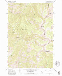preview thumbnail of historical topo map of Lemhi County, ID in 1966