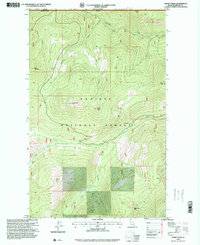 Download a high-resolution, GPS-compatible USGS topo map for Shorty Peak, ID (1999 edition)