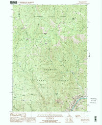 Download a high-resolution, GPS-compatible USGS topo map for Shoup, ID (1991 edition)