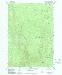 Download a high-resolution, GPS-compatible USGS topo map for Silver Spur Ridge, ID (1987 edition)