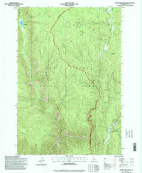 Download a high-resolution, GPS-compatible USGS topo map for Silver Spur Ridge, ID (1999 edition)