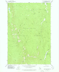 Download a high-resolution, GPS-compatible USGS topo map for Silver Spur Ridge, ID (1977 edition)
