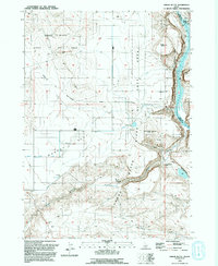 preview thumbnail of historical topo map of Owyhee County, ID in 1992
