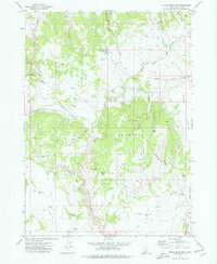 Download a high-resolution, GPS-compatible USGS topo map for Slack Mountain, ID (1977 edition)