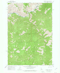 Download a high-resolution, GPS-compatible USGS topo map for Sliderock Ridge, ID (1975 edition)