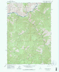 Download a high-resolution, GPS-compatible USGS topo map for Sliderock Ridge, ID (1975 edition)