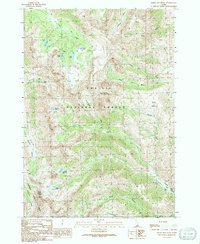 preview thumbnail of historical topo map of Custer County, ID in 1991