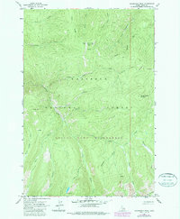 Download a high-resolution, GPS-compatible USGS topo map for Sourdough Peak, ID (1987 edition)