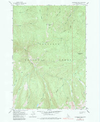Download a high-resolution, GPS-compatible USGS topo map for Sourdough Peak, ID (1983 edition)