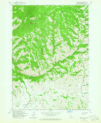 Download a high-resolution, GPS-compatible USGS topo map for Sprout Mtn, ID (1964 edition)