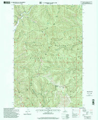 Download a high-resolution, GPS-compatible USGS topo map for Spyglass Peak, ID (1999 edition)