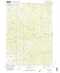 preview thumbnail of historical topo map of Bonneville County, ID in 1977