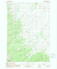 Download a high-resolution, GPS-compatible USGS topo map for Stroud Creek, ID (1989 edition)