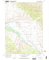 Download a high-resolution, GPS-compatible USGS topo map for Swan Valley, ID (1977 edition)