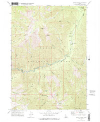 Download a high-resolution, GPS-compatible USGS topo map for Swanholm Peak, ID (1976 edition)