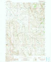 Download a high-resolution, GPS-compatible USGS topo map for Swisher Mountain, ID (1991 edition)