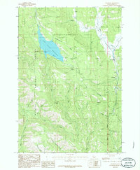 Download a high-resolution, GPS-compatible USGS topo map for Tamarack, ID (1986 edition)
