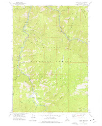 Download a high-resolution, GPS-compatible USGS topo map for Teapot Mtn, ID (1977 edition)