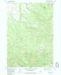 Download a high-resolution, GPS-compatible USGS topo map for Temple Peak, ID (1985 edition)