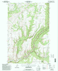 Download a high-resolution, GPS-compatible USGS topo map for Texas Ridge, ID (1998 edition)