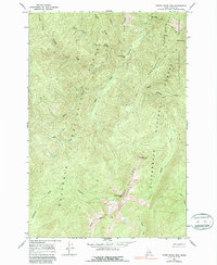 Download a high-resolution, GPS-compatible USGS topo map for Three Prong Mountain, ID (1987 edition)