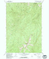 Download a high-resolution, GPS-compatible USGS topo map for Three Prong Mtn, ID (1995 edition)