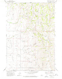 Download a high-resolution, GPS-compatible USGS topo map for Timber Butte, ID (1977 edition)