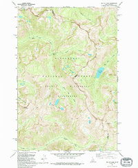 Download a high-resolution, GPS-compatible USGS topo map for Tin Cup Lake, ID (1995 edition)