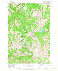 Download a high-resolution, GPS-compatible USGS topo map for Tin Cup Lake, ID (1968 edition)