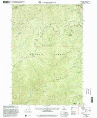 preview thumbnail of historical topo map of Lemhi County, ID in 1998