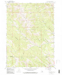 Download a high-resolution, GPS-compatible USGS topo map for Tincup Mtn, ID (1982 edition)