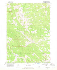 Download a high-resolution, GPS-compatible USGS topo map for Tincup Mtn, ID (1969 edition)
