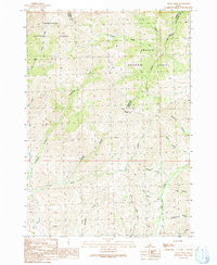 Download a high-resolution, GPS-compatible USGS topo map for Trail Creek, ID (1991 edition)