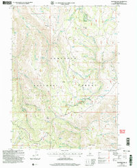 Download a high-resolution, GPS-compatible USGS topo map for Trapper Peak, ID (2006 edition)