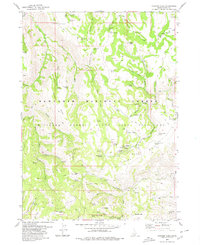 Download a high-resolution, GPS-compatible USGS topo map for Trapper Peak, ID (1979 edition)