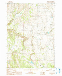Download a high-resolution, GPS-compatible USGS topo map for Triangle Flat, ID (1991 edition)