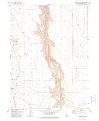 Download a high-resolution, GPS-compatible USGS topo map for Triguero Lake, ID (1979 edition)