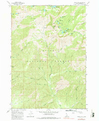 Download a high-resolution, GPS-compatible USGS topo map for Trinity Mtn, ID (1986 edition)