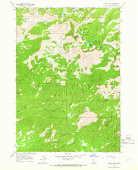 Download a high-resolution, GPS-compatible USGS topo map for Trinity Mtn, ID (1966 edition)