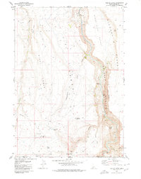 Download a high-resolution, GPS-compatible USGS topo map for Triplet Butte, ID (1980 edition)