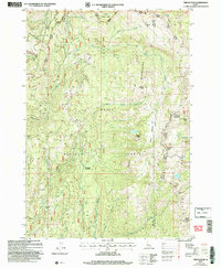 Download a high-resolution, GPS-compatible USGS topo map for Tripod Peak, ID (2007 edition)