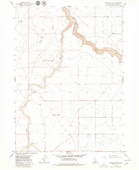 Download a high-resolution, GPS-compatible USGS topo map for Tuanna Butte, ID (1980 edition)