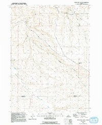 Download a high-resolution, GPS-compatible USGS topo map for Twentymile Butte, ID (1992 edition)